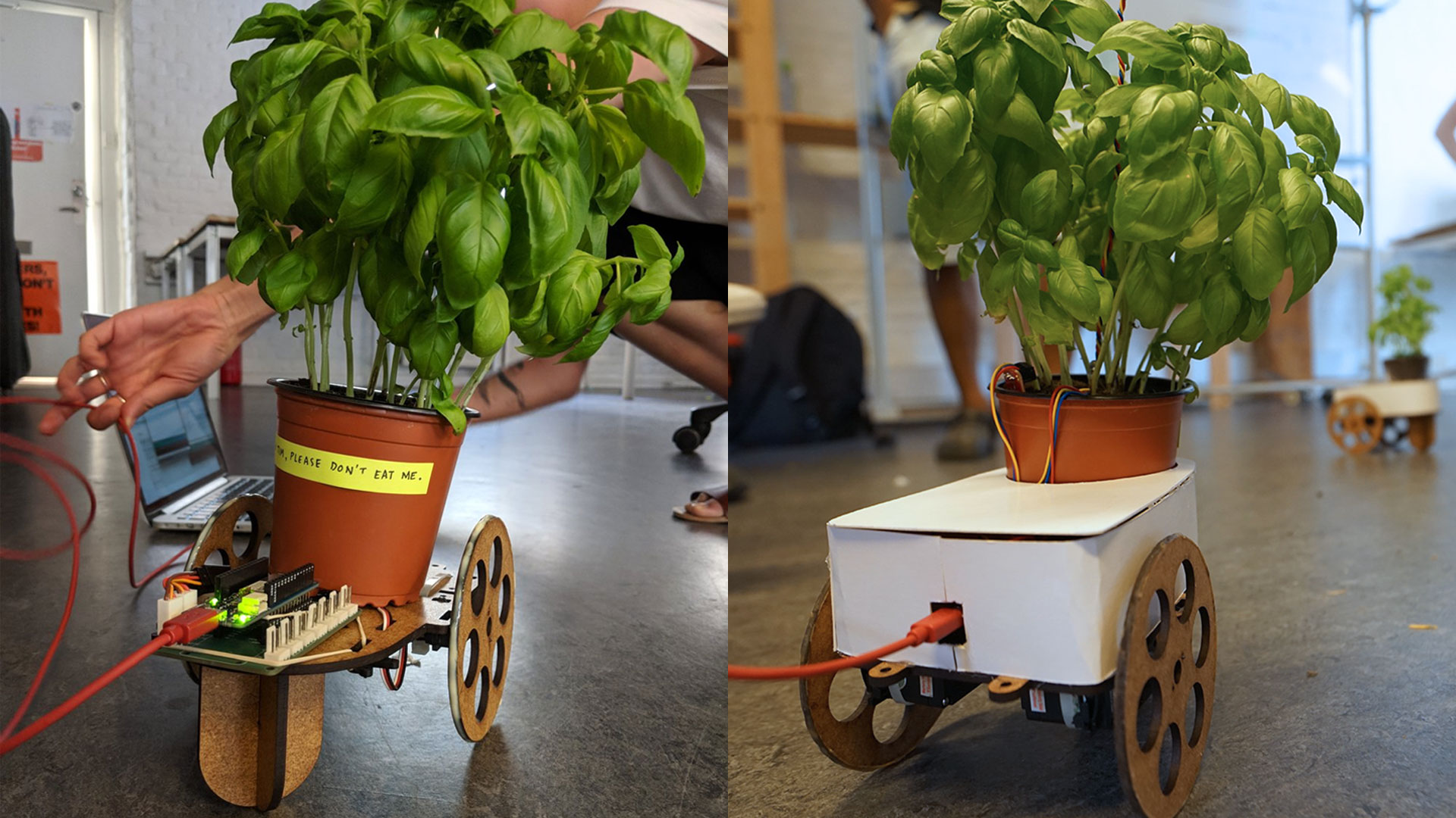 The first prototype for Ponyu